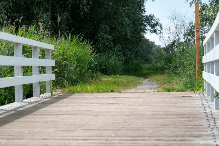 Een foto van een bruggetje met witte leuningen. In het verlengde van de brug kijk je uit naar het bos.